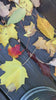 Video of MBeze Once BItten Collection with apples and surrounded by fall leaves.