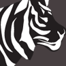 Sweet Sanura black and white tiger